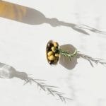 Argan Oil or Shea Butter: What’s the Superior Choice for Your Hair?
